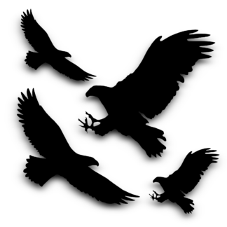Vinyl Car Stickers - Eagle Set