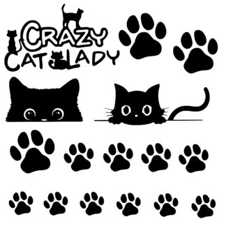 Vinyl Car Stickers - Crazy Cat Lady set