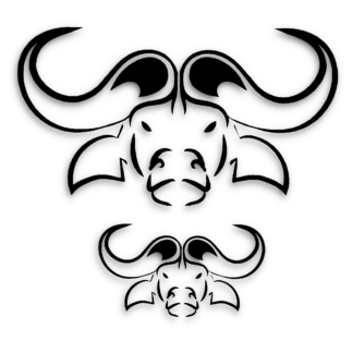 Vinyl Car Stickers - Buffalo Head Set