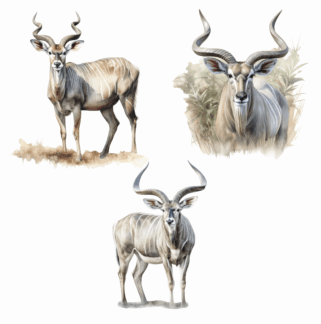 Antelope Stickers/Decals - set of 3