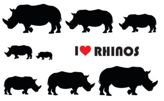 Vinyl Car Stickers - Rhino Set