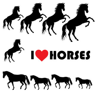 Vinyl Car Stickers - Horses Set