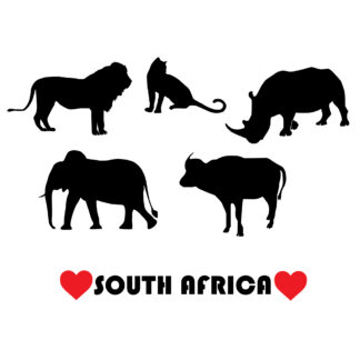 Vinyl Car Stickers - Big 5