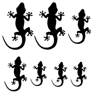 Vinyl Car Stickers - Gecko Set