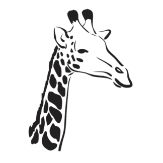 Vinyl Car Stickers - Giraffe Set