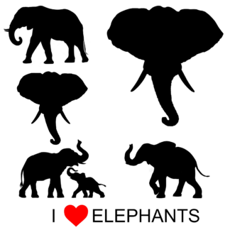 Vinyl Car Stickers - Elephant Set