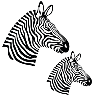 Vinyl Car Stickers - Zebra Set