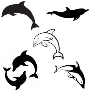 Vinyl Car Stickers - Dolphin Set