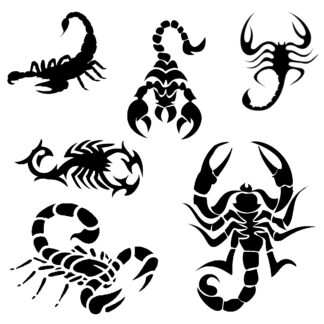 Vinyl Car Stickers - Scorpion Set