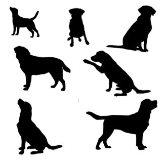 Vinyl Car Stickers - Labrador Dog Set
