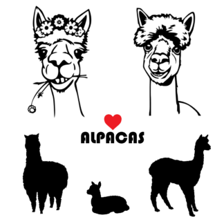 Vinyl Car Stickers - Alpaca Combo Set