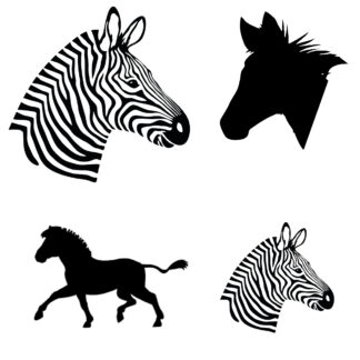 Zebra Sticker Combo Set